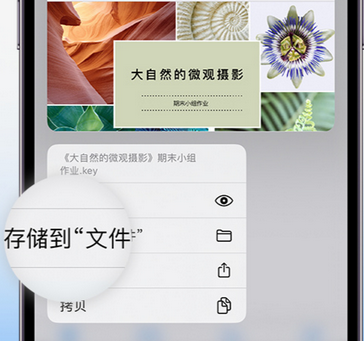 西林apple维修中心分享iPhone文件应用中存储和找到下载文件