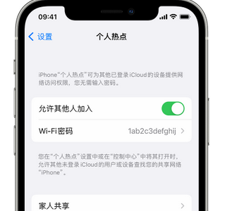 西林apple服务站点分享iPhone上个人热点丢失了怎么办 