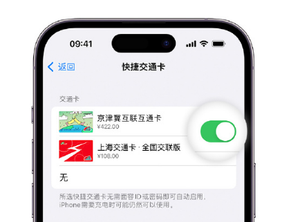 西林apple维修点分享iPhone上更换Apple Pay快捷交通卡手绘卡面 