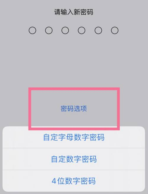 西林苹果14维修分享iPhone 14plus设置密码的方法 