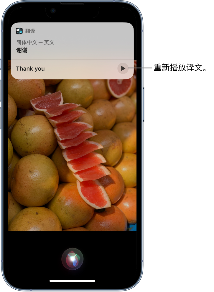 西林苹果14维修分享 iPhone 14 机型中使用 Siri：了解 Siri 能帮你做什么 