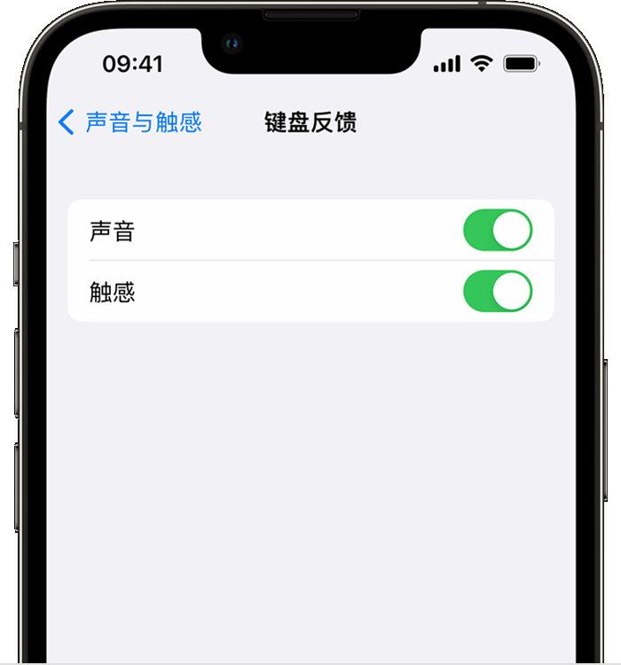西林苹果14维修分享iPhone 14 系列机型如何开启键盘声音或触感反馈 