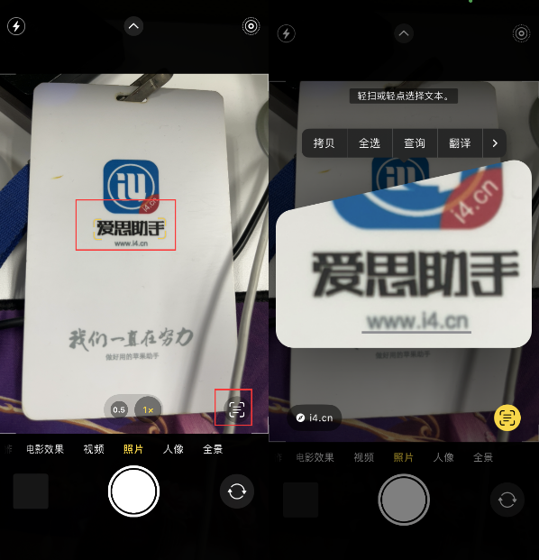 西林苹果手机维修分享升级iOS 16后如何通过相机翻译文本 