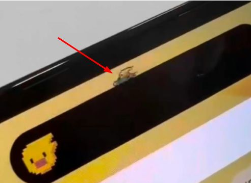 西林苹果14维修分享iPhone 14 Pro Max灵动岛怎么养宠物 