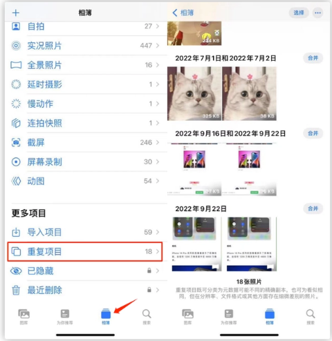 西林苹果手机维修分享iOS 16 中相册重复项目功能使用方法 