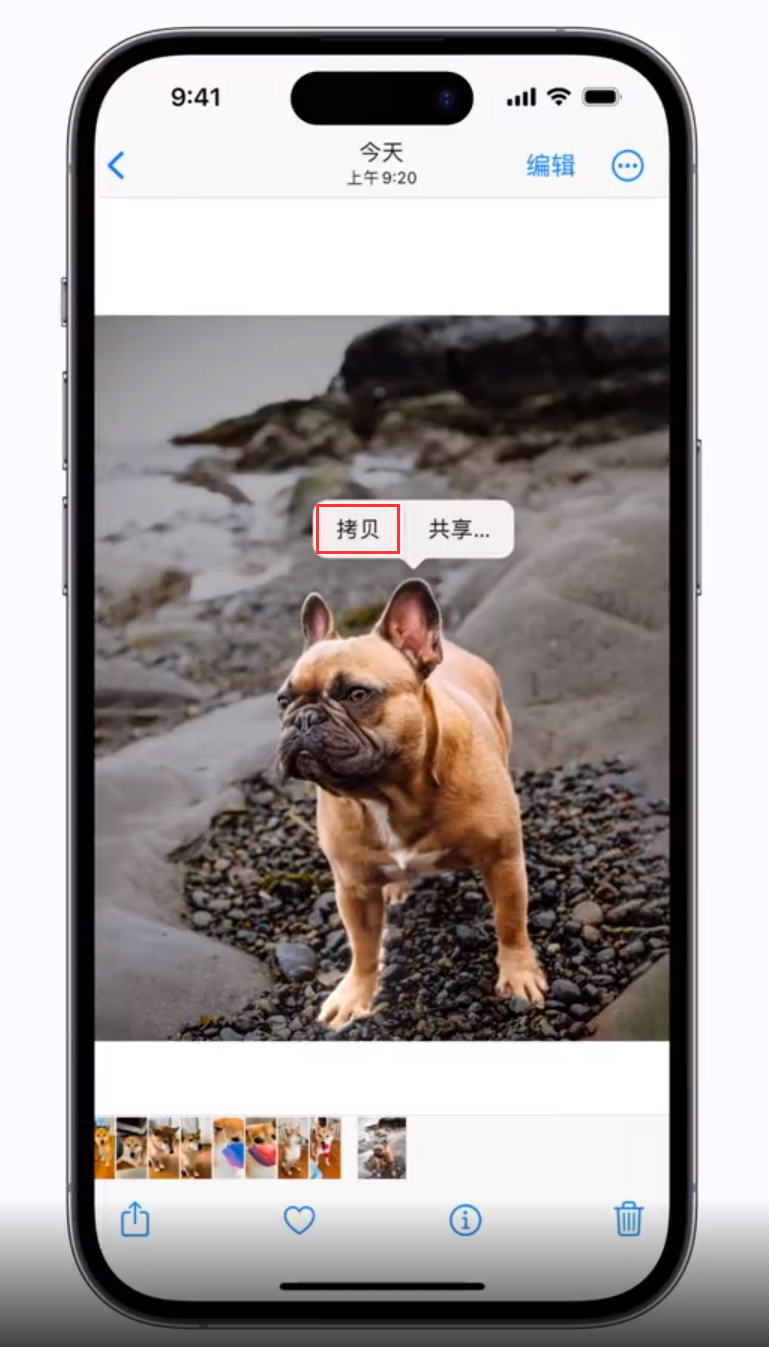 西林苹果手机维修分享 iOS 16 自带一键抠图功能 