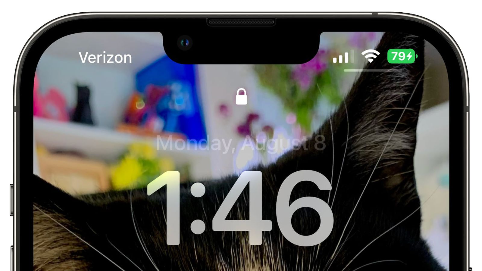 西林苹果手机维修分享iOS 16 beta 5 支持状态栏显示电池百分比，如何开启？支持哪些机型 