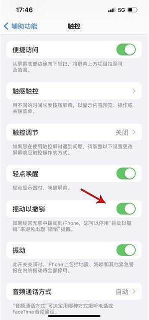 西林苹果手机维修分享iPhone手机如何设置摇一摇删除文字 