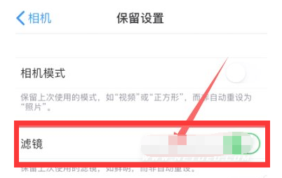 西林苹果13维修分享iPhone13拍照有绿点是怎么回事 