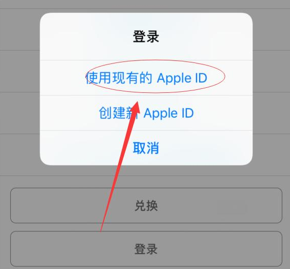 西林苹果手机维修分享两台iPhone设备可以同时登录一个Apple ID吗 