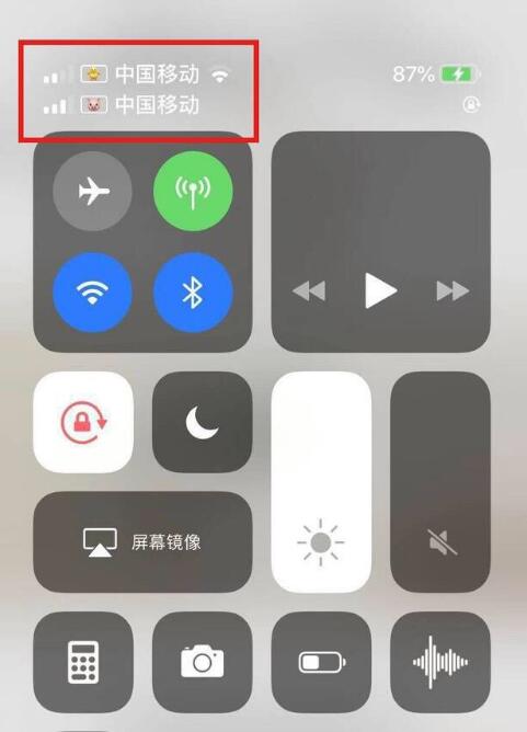 西林苹果手机维修分享为 iPhone 12 双卡设置标签 